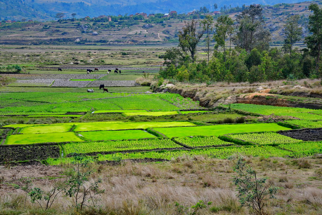 Ambositra Region